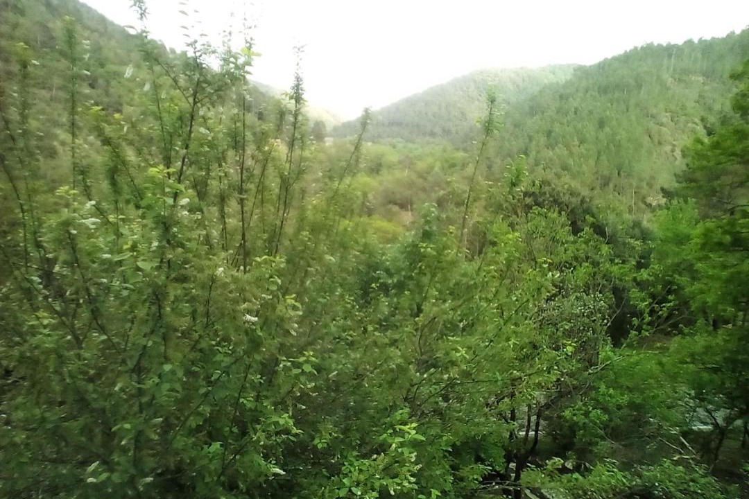 Photo of Outdoor in Chambon