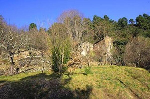 Photo of Outdoor in Chambon