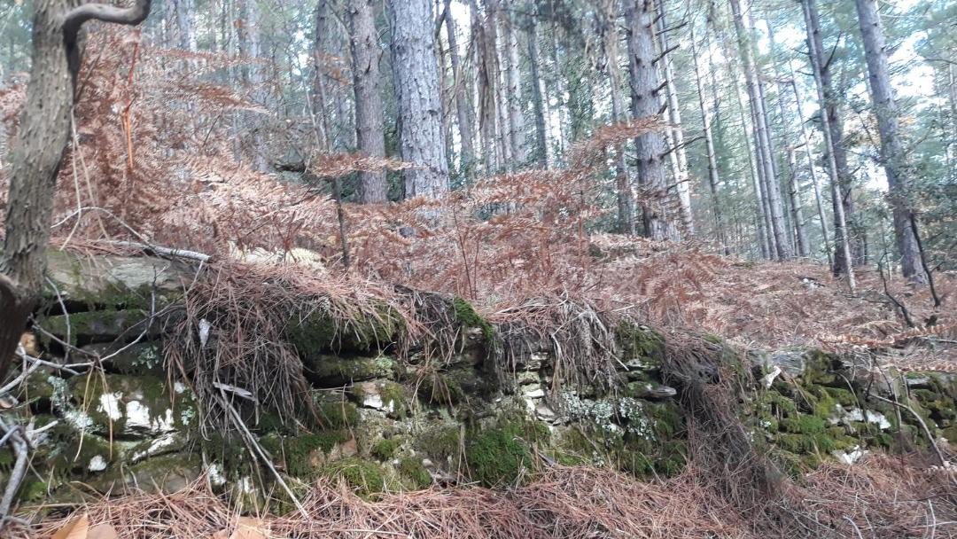 Photo of Others in Chambon