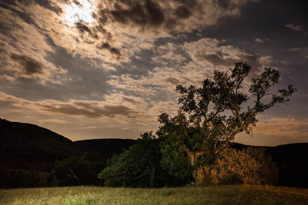 Photo of Others in Saint-Andre-de-Bueges