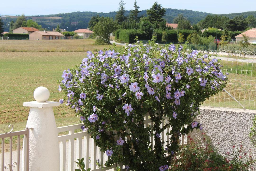 Photo of Others in Marges