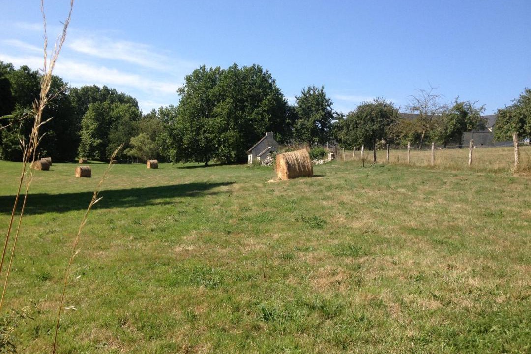 Photo of Others in Vienne-en-Bessin