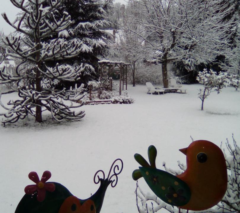 Photo of Others in Husseren-Wesserling