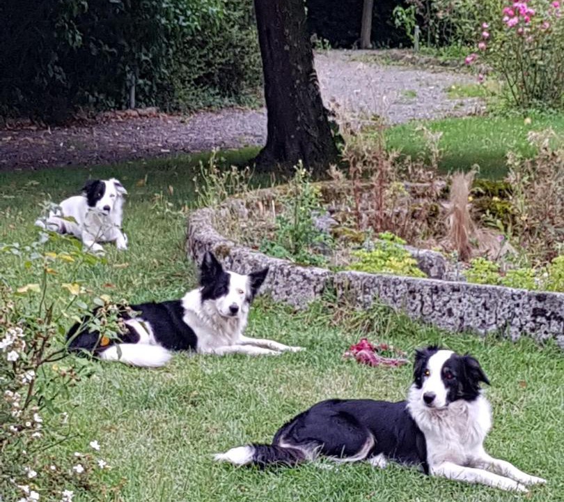 Photo of Others in Mont-Dol