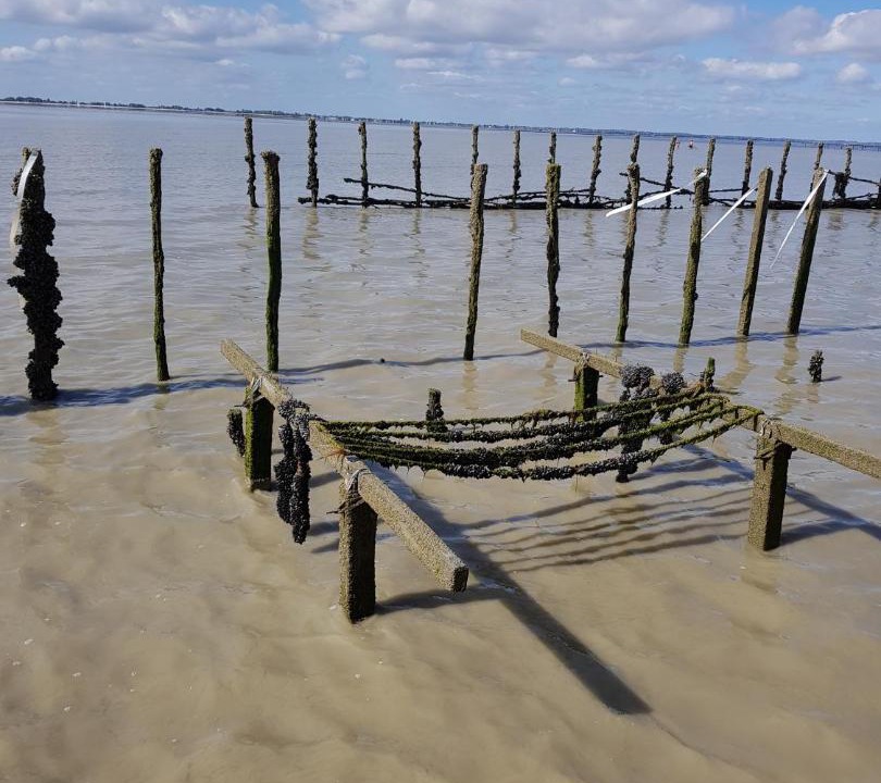 Photo of Others in Mont-Dol