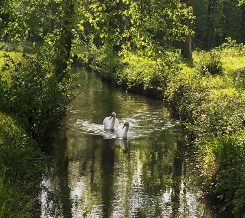 Photo of Others in Le Plessis-Luzarches