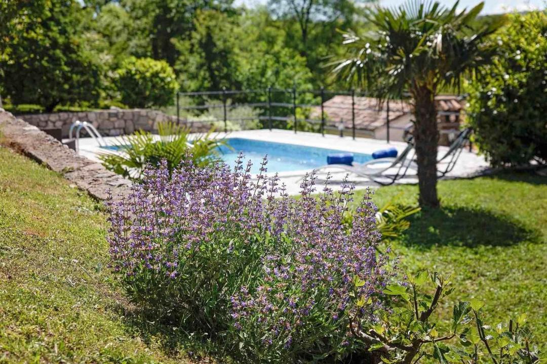Photo of Outdoor in Kozljak