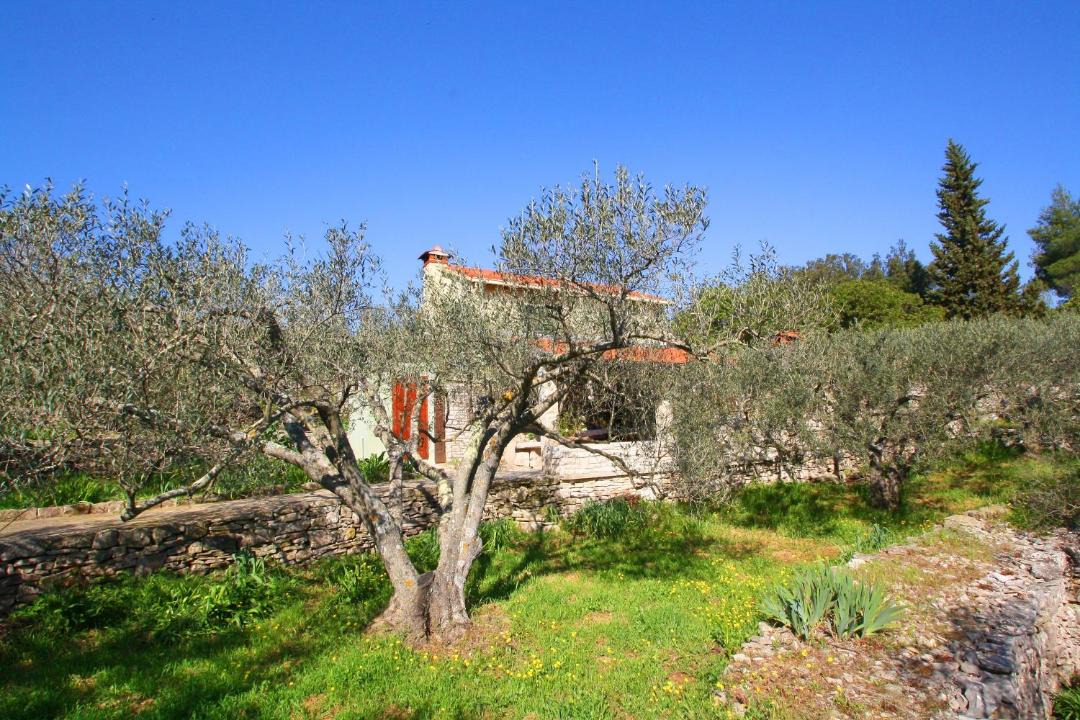 Photo of Others in Vela Luka