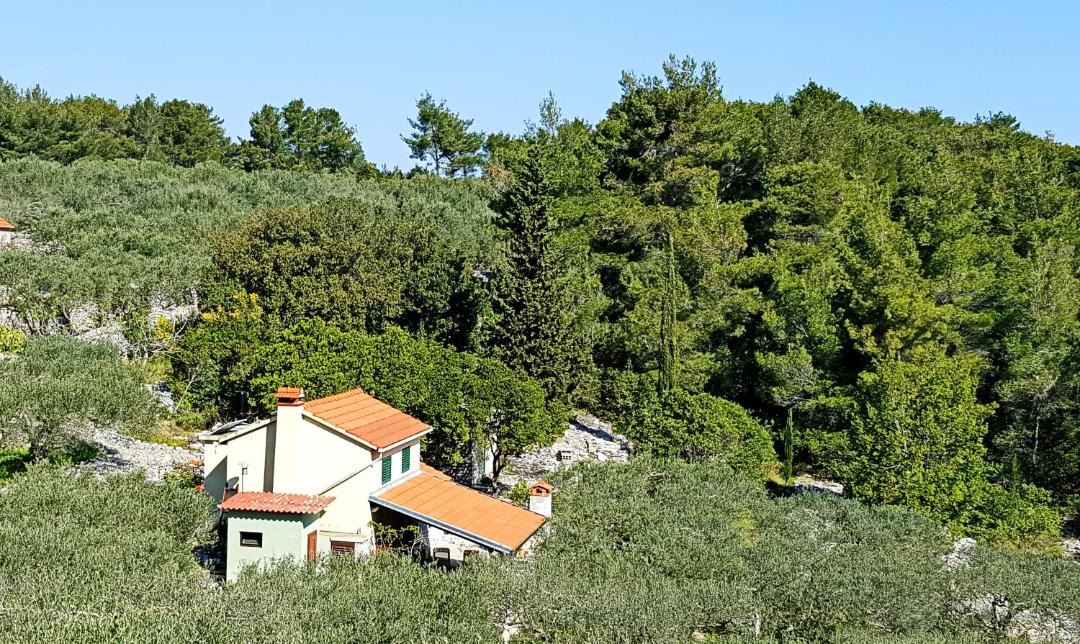 Photo of Others in Vela Luka