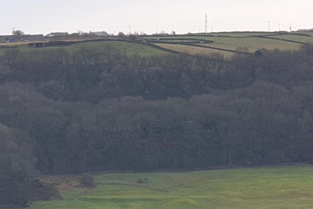 Photo of Outdoor in Ainley Top