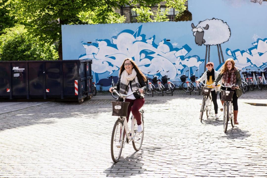 Photo of Others in København N