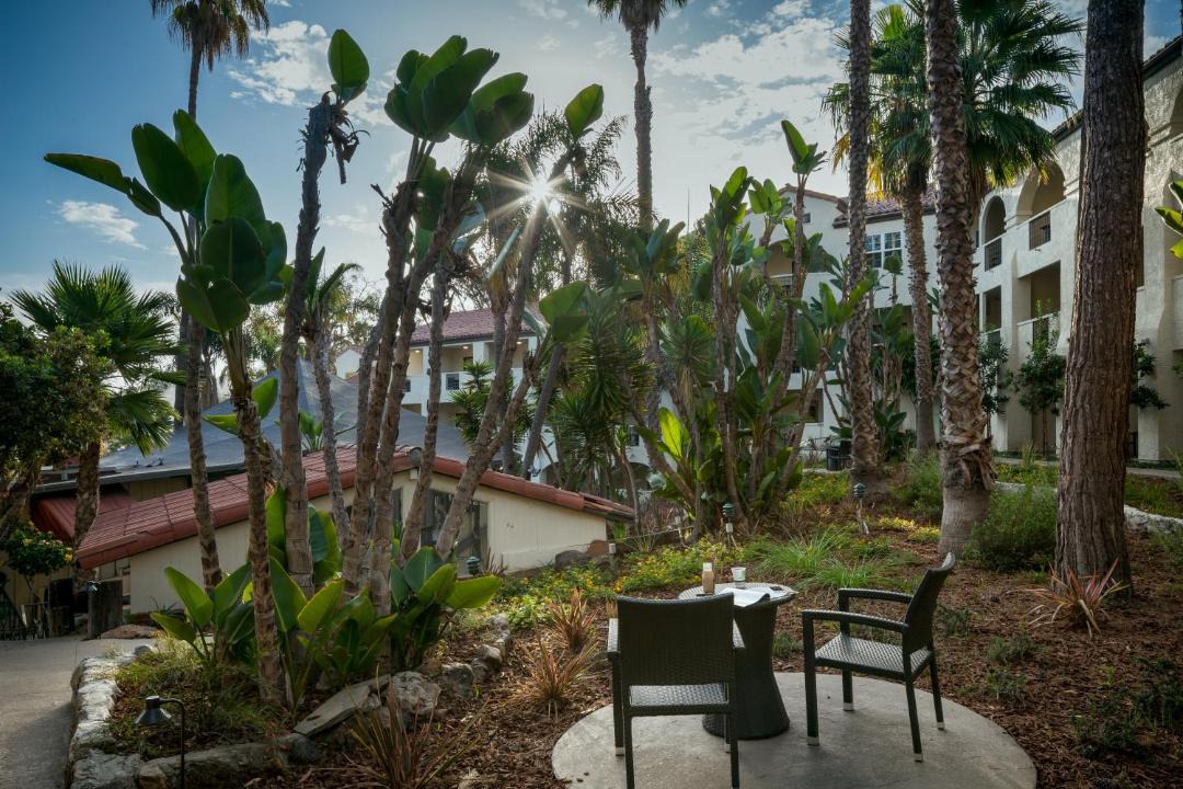 Photo of Others in Avalon