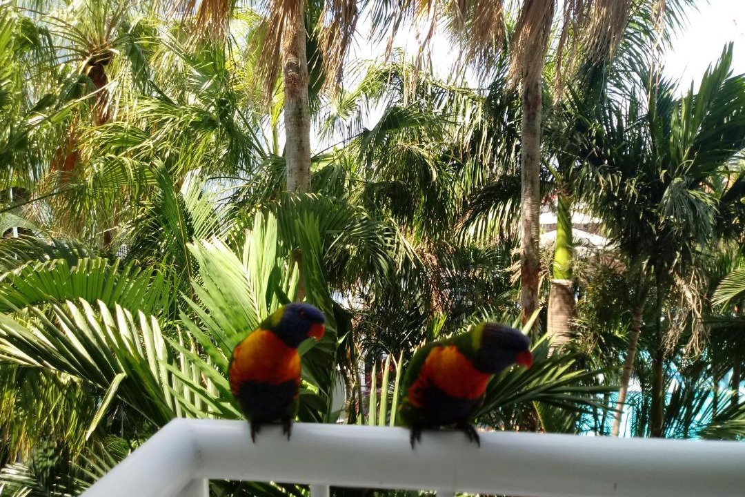 Photo of Others in Broadbeach