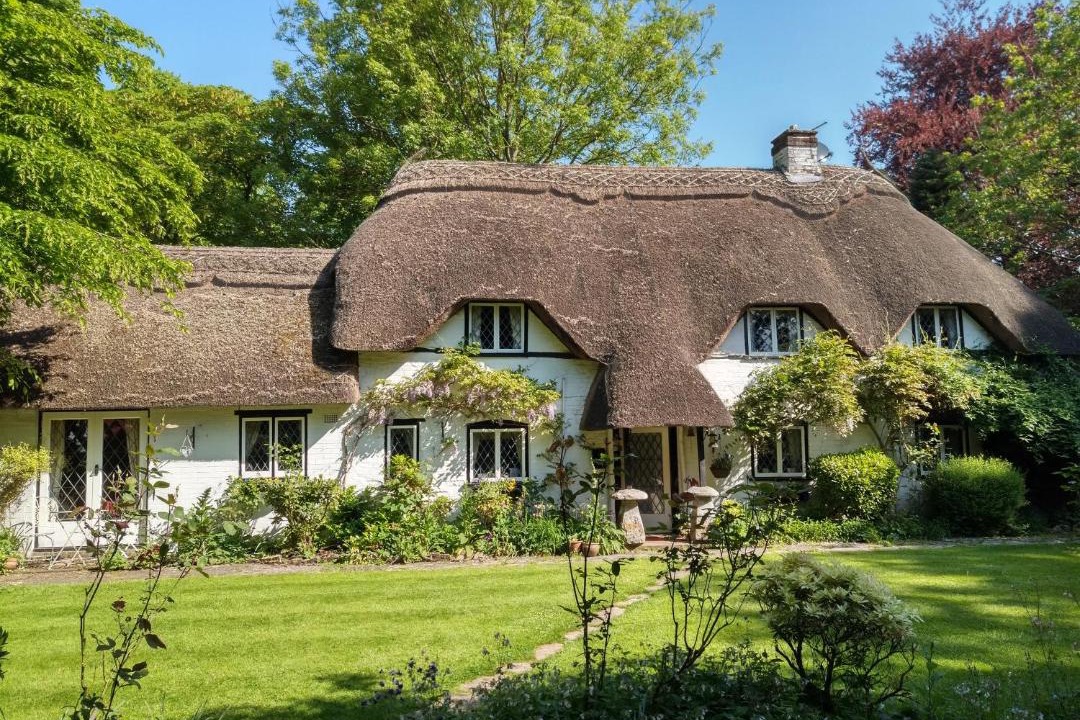 Photo of Others in Ibsley