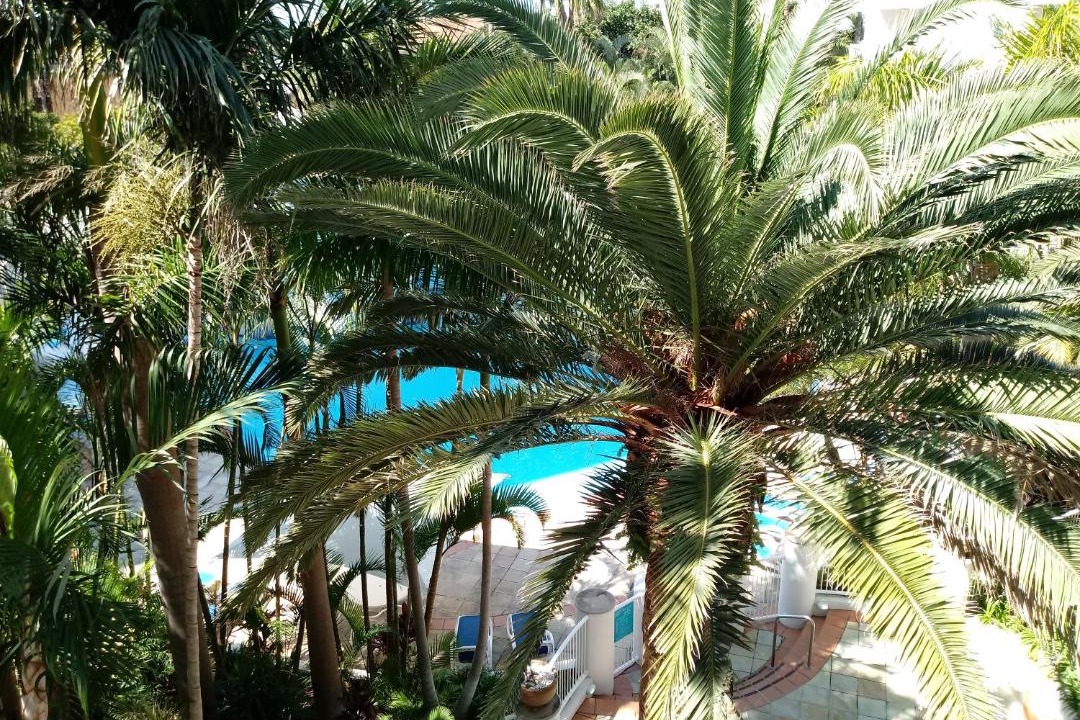 Photo of Others in Broadbeach