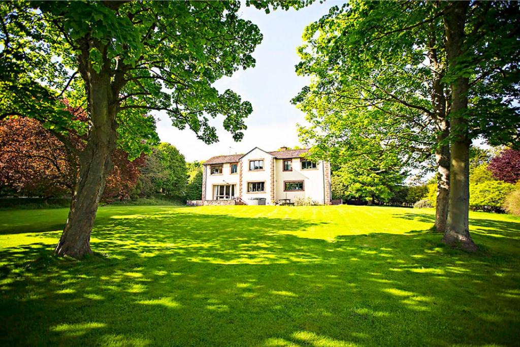 Photo of Others in Dunbar