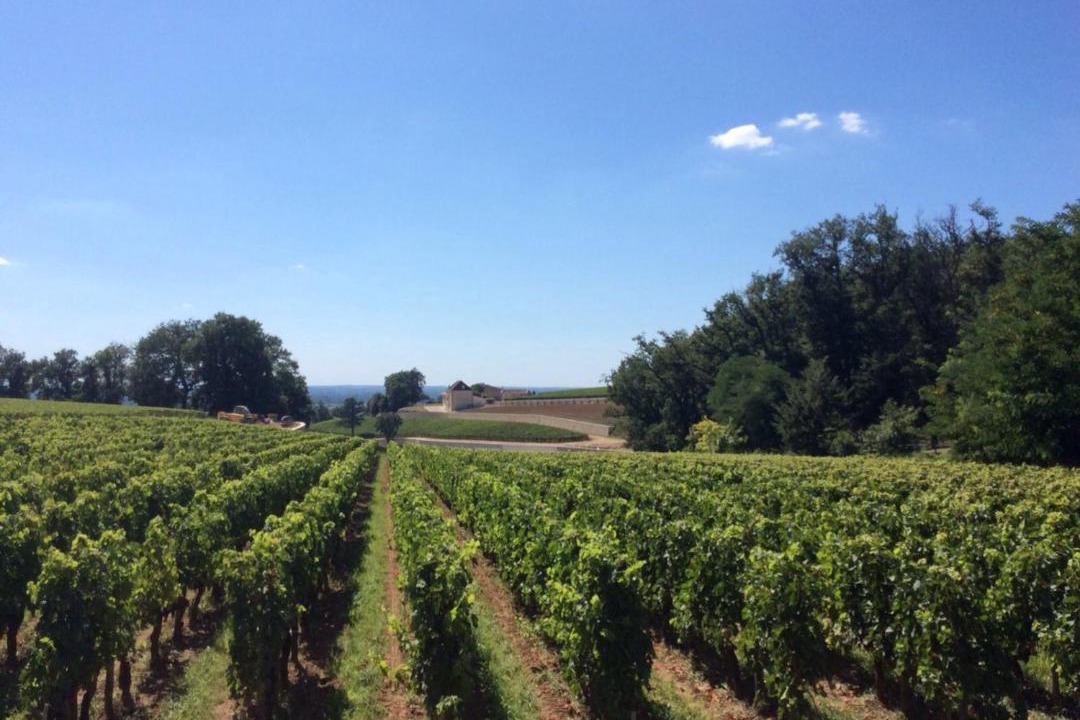 Photo of Others in Flaujagues