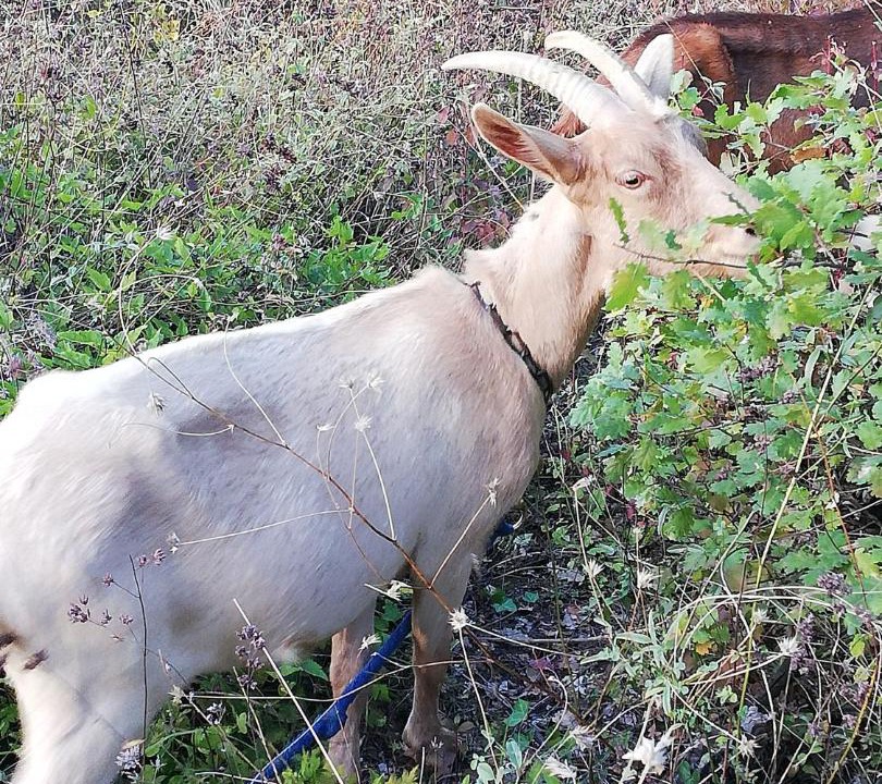 Photo of Others in Nyons