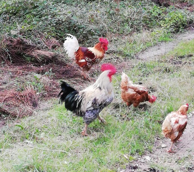 Photo of Others in Nyons