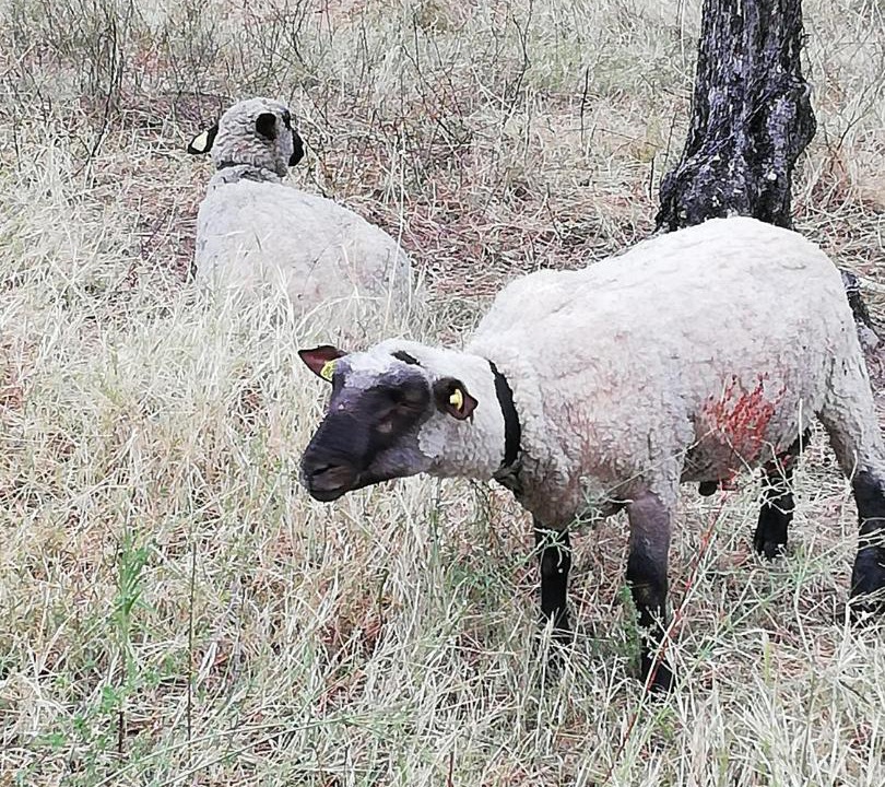 Photo of Bedroom in Nyons