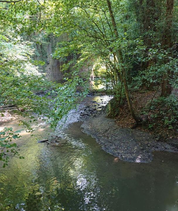 Photo of Others in Gussignies