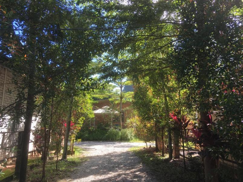 Photo of Others in Ipoh