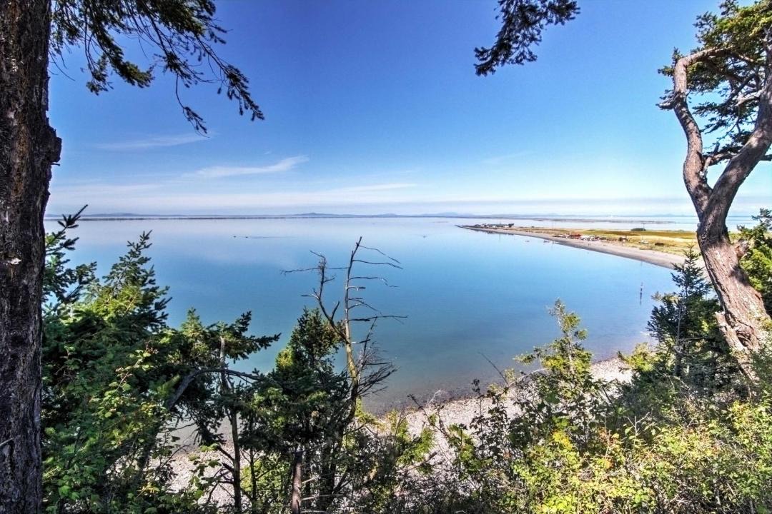 Photo of Others in Sequim