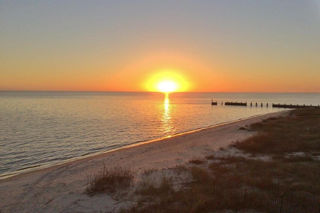 Photo of Outdoor in Ocean Springs