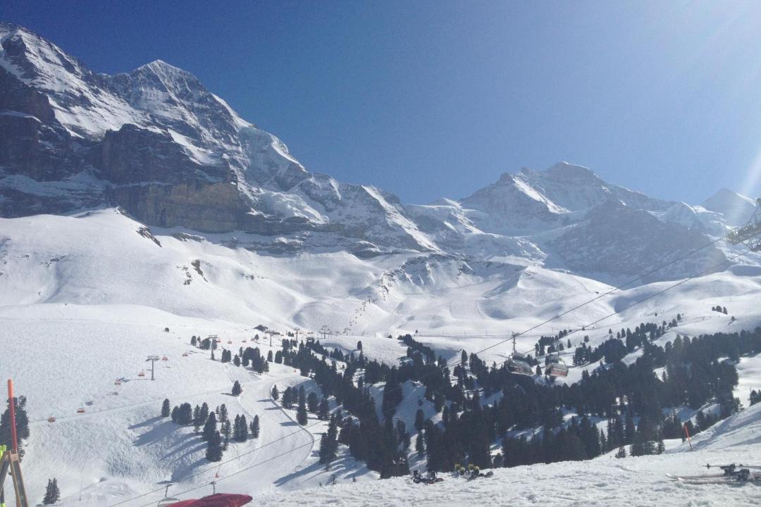 Photo of Others in Wengen