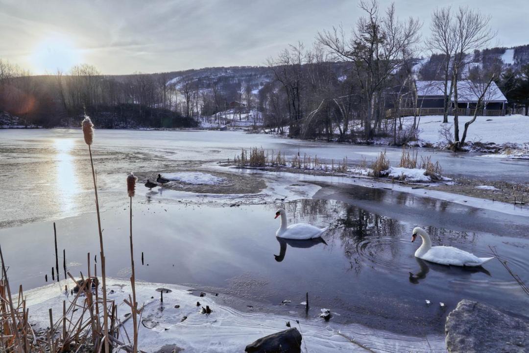 Photo of Others in Tannersville