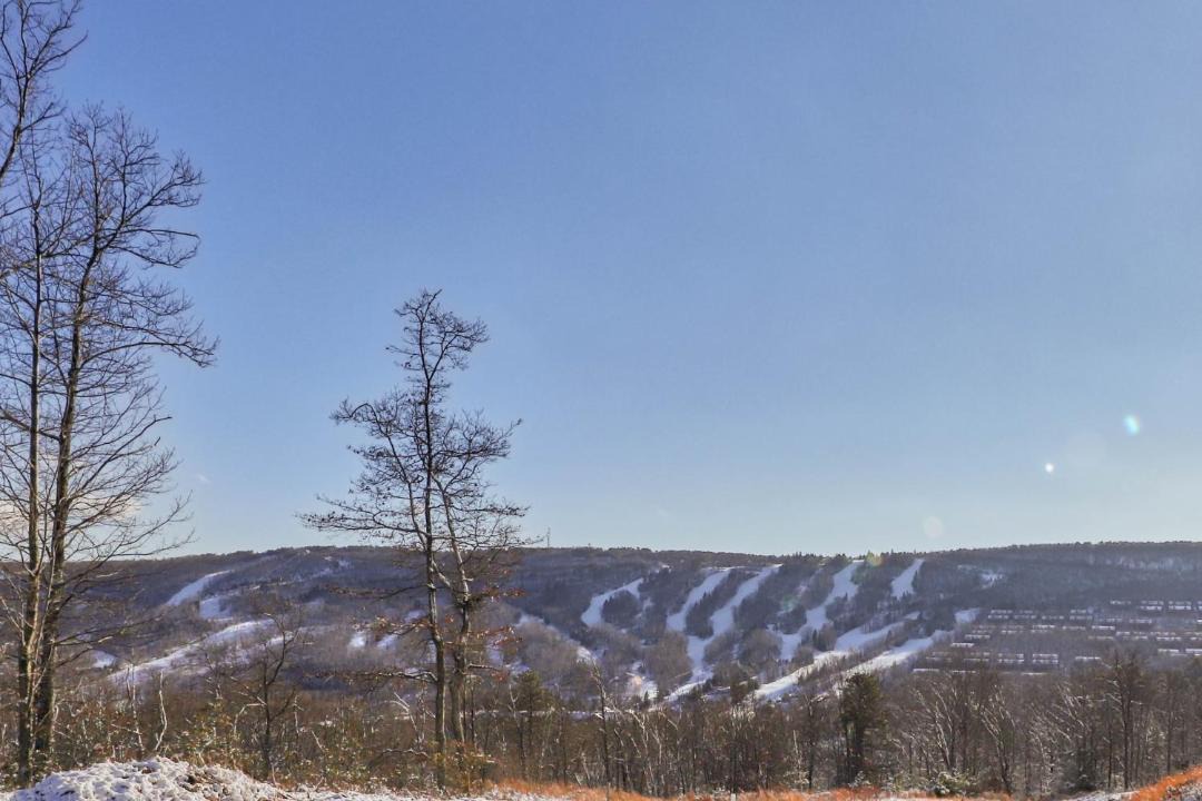 Photo of Others in Tannersville