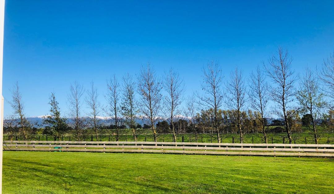 Photo of Others in Opaki