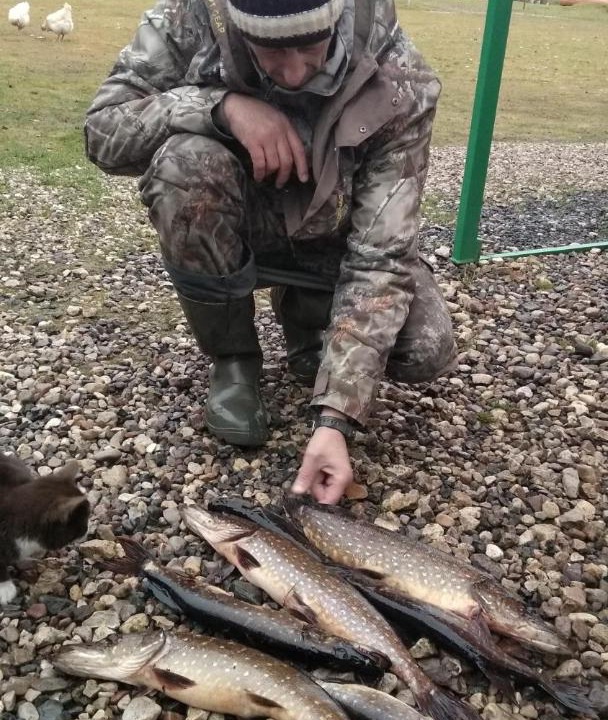 Photo of Others in Ryutinskoe