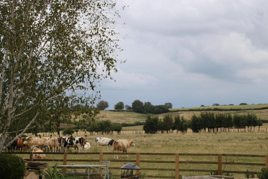 Photo of Others in North Marston