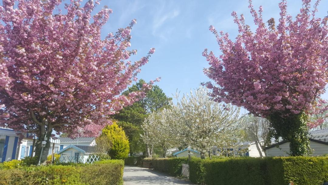 Photo of Outdoor in Verton
