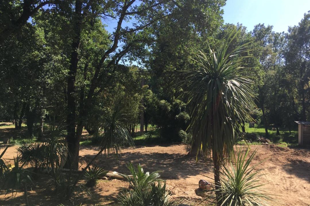 Photo of Others in Grimaud