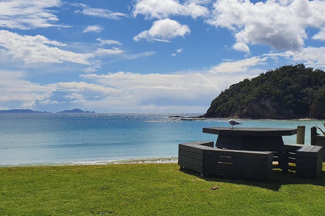 Photo of Others in Matapouri