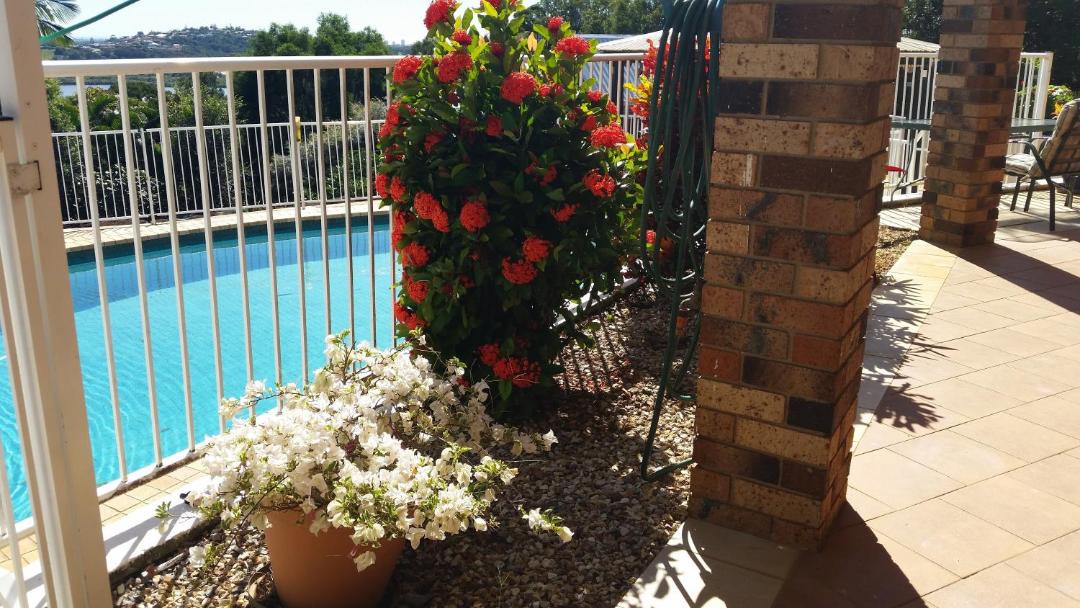 Photo of Others in Terranora