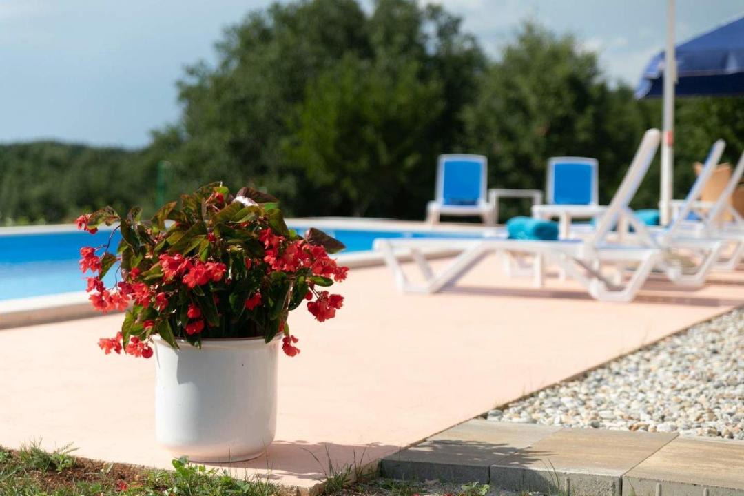 Photo of Outdoor in Skropeti