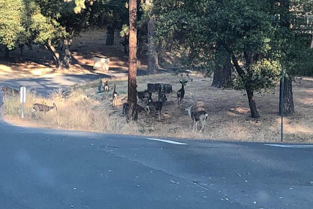 Photo of Outdoor in Groveland