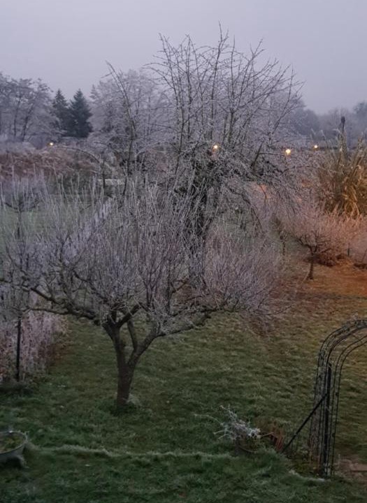 Photo of Others in Kurtzenhouse