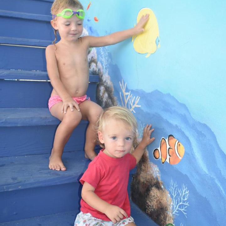 Photo of Others in Indian Rocks Beach