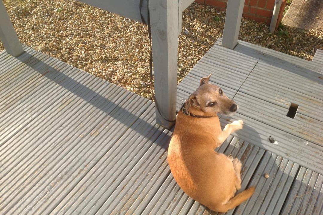 Photo of Others in Ventnor