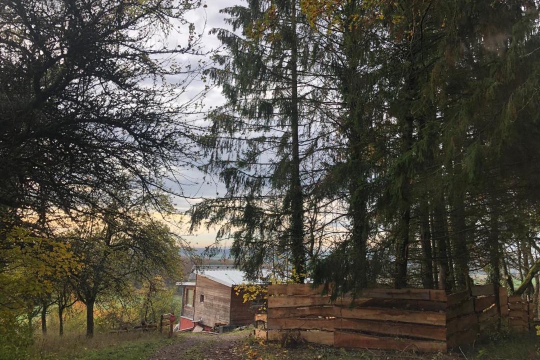 Photo of Others in Rothbach