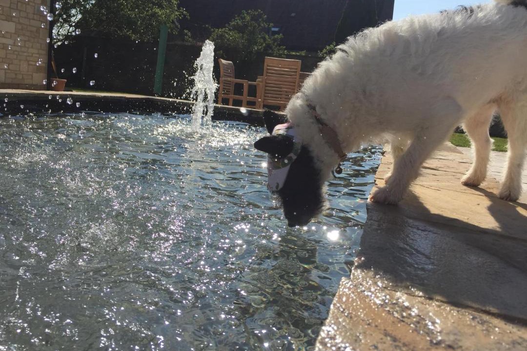 Photo of Others in Bruton