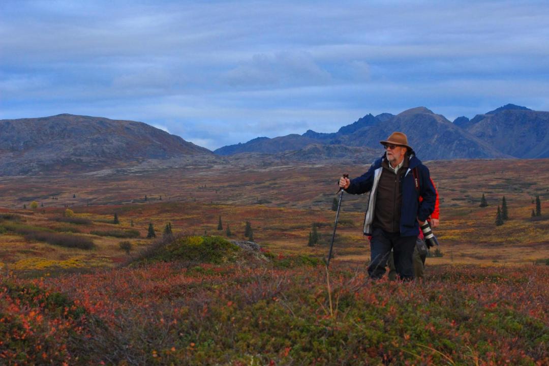 Photo of Others in Susitna North