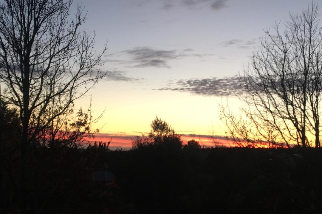 Photo of Others in Kerikeri