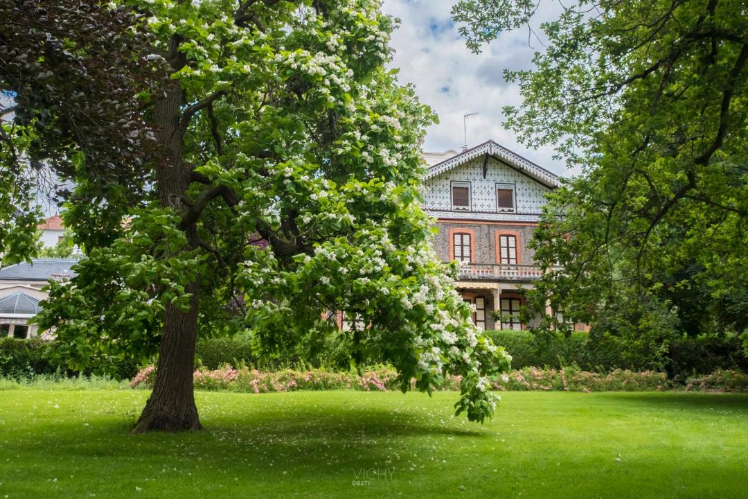Photo of Buildings in Thermal