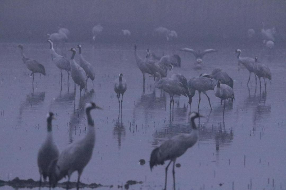 Photo of Outdoor in Belval-en-Argonne