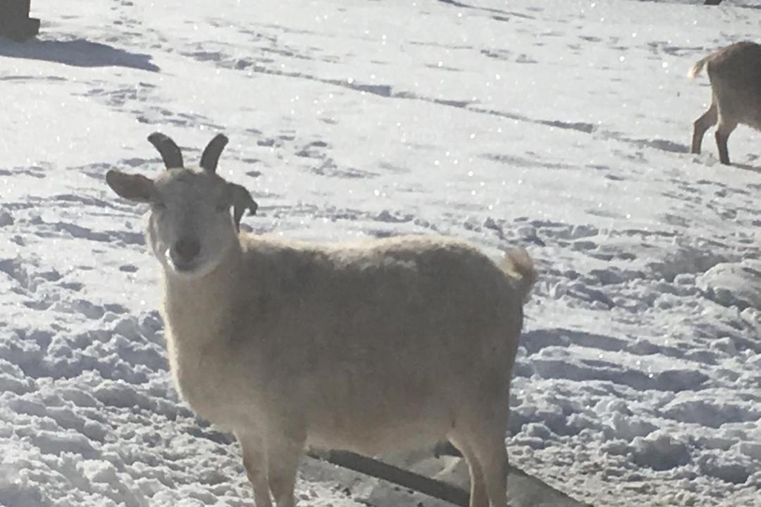 Photo of Others in Alex